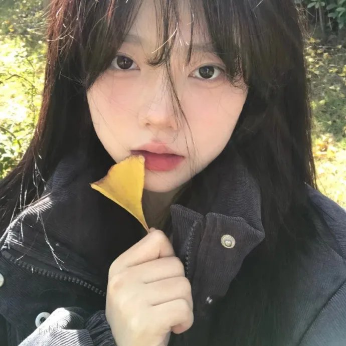 明月守护者