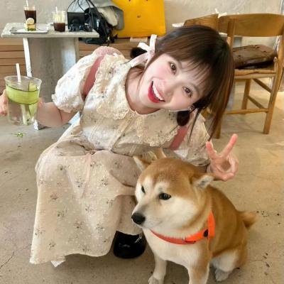 龙